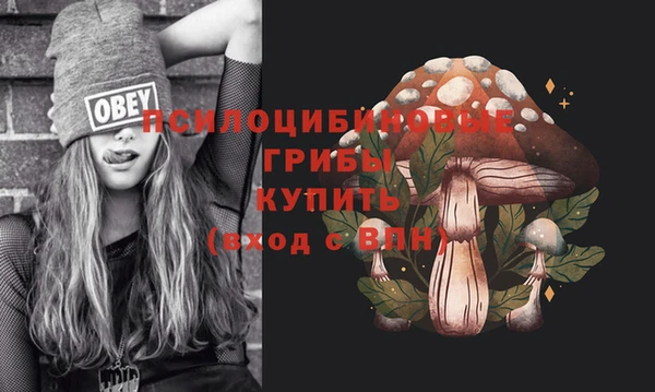 соль ск Строитель
