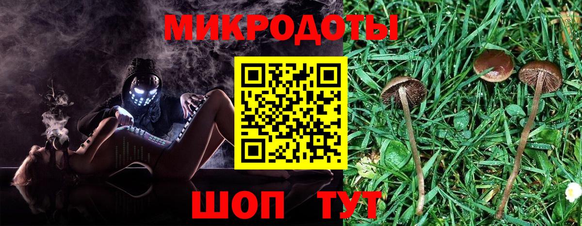 Псилоцибиновые грибы Psilocybe  Вход с VPN  Саянск 