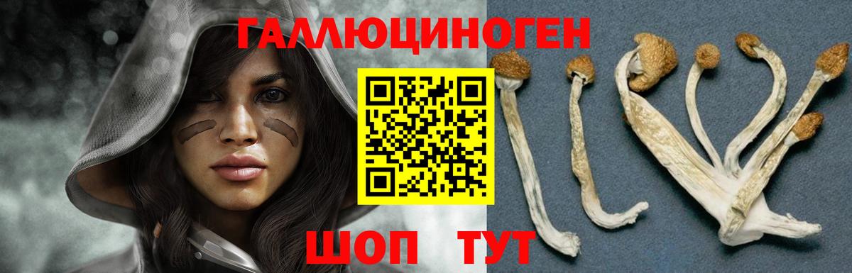 Псилоцибиновые грибы прущие грибы Саянск